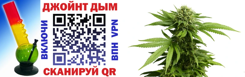 продажа наркотиков  гидра ССЫЛКА  Марихуана семена  Тихорецк 